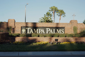 New-Tampa-Tampa-Palms