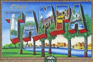 South Tampa, FL